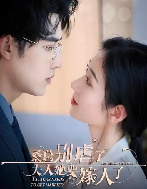 长街灯火热播电视剧全集在线观看
